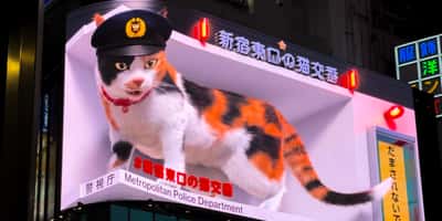 We Just Added 40+ DOOH Campaigns and 64 Billboard Screens to Our Library