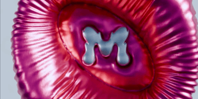 Creator Spotlight: Murph Studio