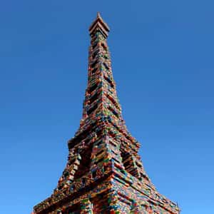 FOOH Creator Spotlight: The Sun Project