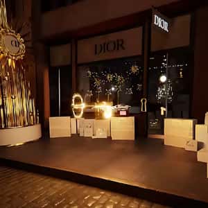 FOOH Creator Spotlight: Day Five